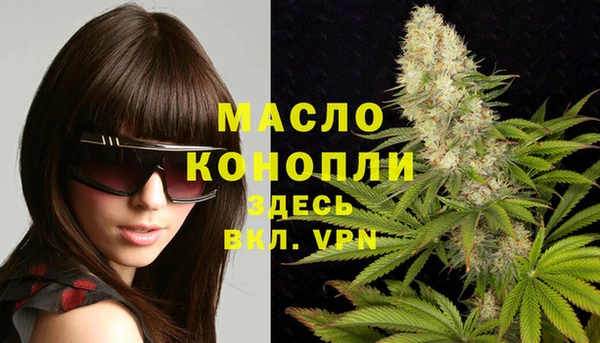 Альфа ПВП Инсар