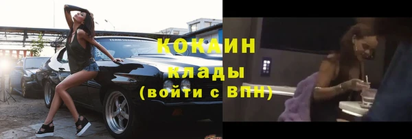 Альфа ПВП Инсар