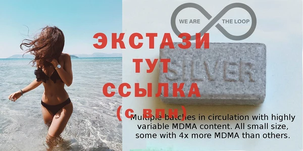 винт Инта