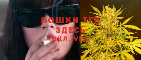 Альфа ПВП Инсар