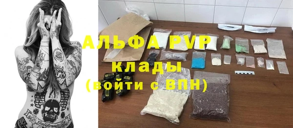 винт Инта