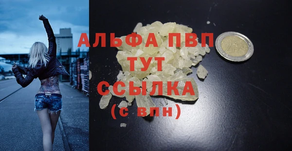 Альфа ПВП Инсар