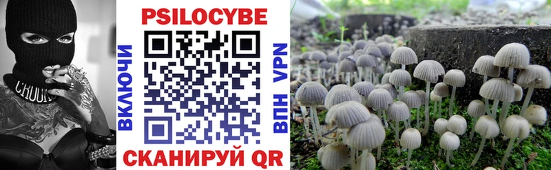 Псилоцибиновые грибы Psilocybine cubensis  Купить где  Бикин 